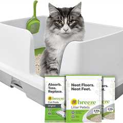 Purina Tidy Cats Review: A Breeze for Multi-Cat Homes