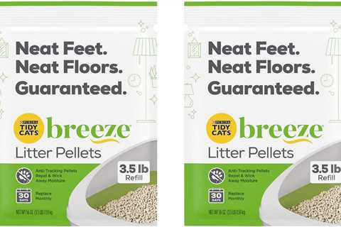 Purina Litter Tidy Cat Breeze Pellets Review: The Pawsitive Revolution