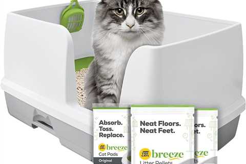 Purina Tidy Cats Review: A Breeze for Multi-Cat Homes