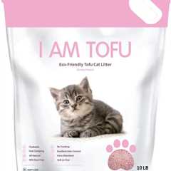 I AM TOFU Review: The Cat Litter Revolution!