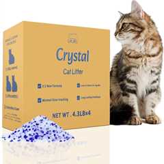 Crystal Cat Litter Review: Odor Control Magic