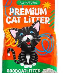 Good Cat Litter Review: Truly Revolutionary!