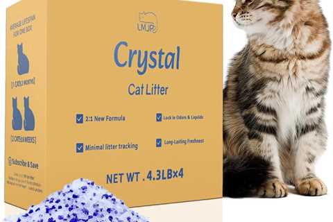 Crystal Cat Litter Review: Odor Control Magic