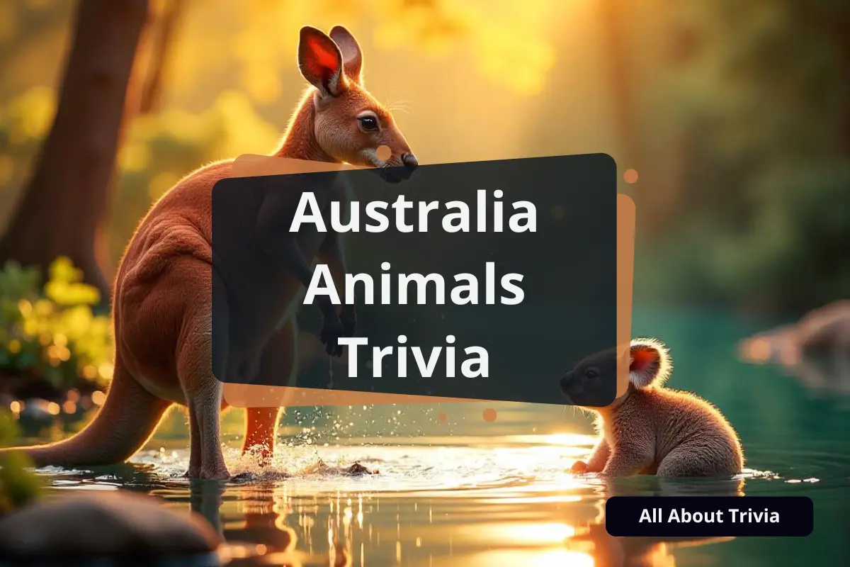 50+ Australia Animals Trivia: A Dive Into The Wild Heart Of Down Under - All About Trivia