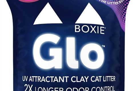 Boxie® Glo™ Review: The Litter Revolution