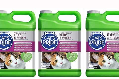 Cat’s Pride Fresh Scent Review: A Feline’s Delight