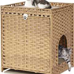 Cat Litter Box Enclosure Review: A Cat’s Secret Getaway