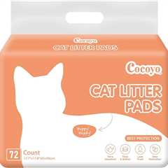 COCOYO Cat Litter Pads Review: Odor Be Gone!