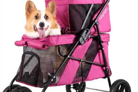 ibiyaya Double Dog Stroller - Lightweight & Foldable Pet Stroller for Small Dogs, Cats - Pink