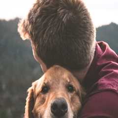 The Importance of Responsible Pet Ownership in Calvert County, MD