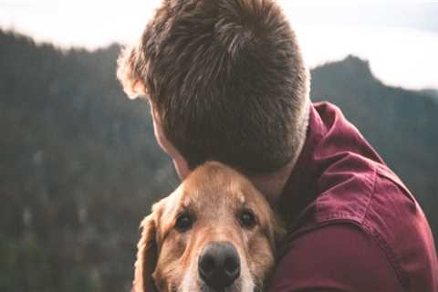 The Importance of Responsible Pet Ownership in Calvert County, MD
