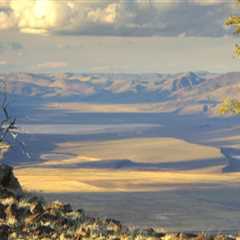 The Role of Central Oregon's Wildlife in Enhancing Natural Beauty and Conservation Efforts