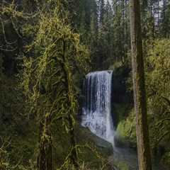The Vital Role of National Parks and Forests in Nature Preservation in Central Oregon
