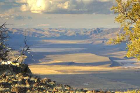 The Role of Central Oregon's Wildlife in Enhancing Natural Beauty and Conservation Efforts