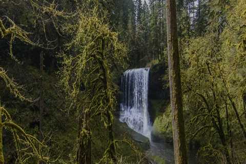 The Vital Role of National Parks and Forests in Nature Preservation in Central Oregon
